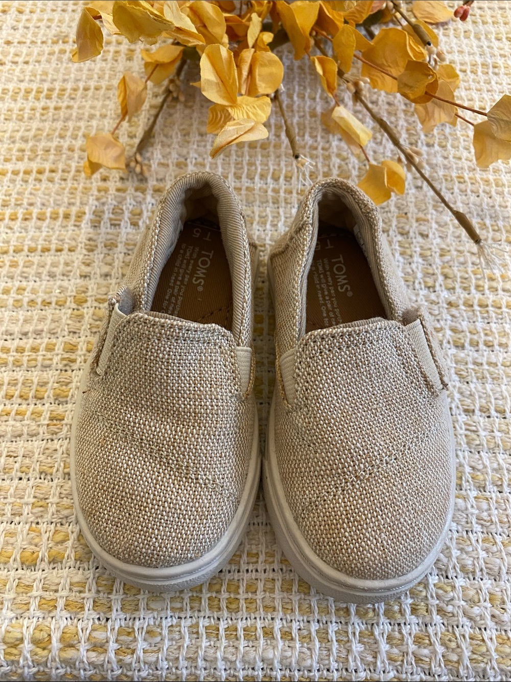 TOMS Kids Canvas Slip-On Sneakers in Beige
